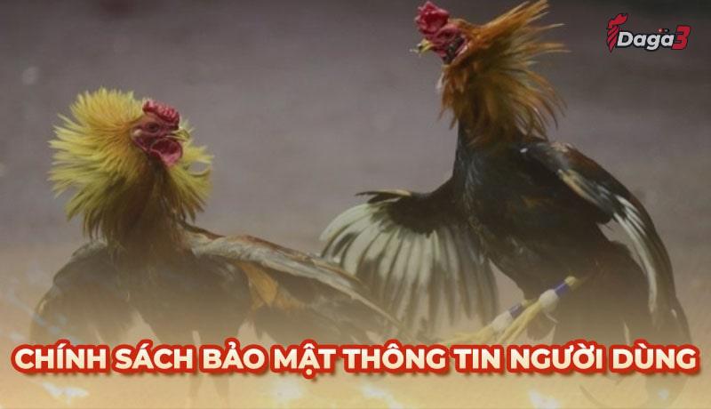 Chính sách bảo mật thông tin người dùng tại vershina.top