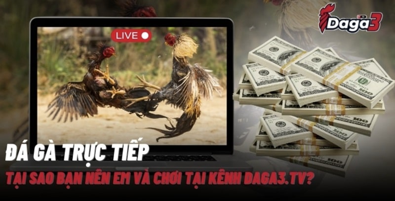 Giới thiệu về kênh đá gà trực tiếp thomo vershina.top
