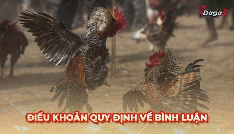 Người dùng cần tuân thủ một số điều khoản khi bình luận trên vershina.top