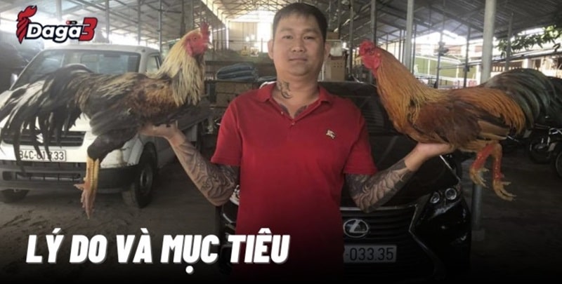 Mít Trà Cú sáng lập trang đá gà trực tiếp vershina.top